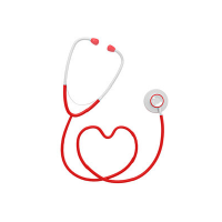 salymbekov university